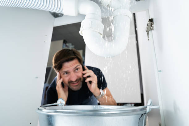 Best Affordable Plumber Near Me  in St Louis, MI