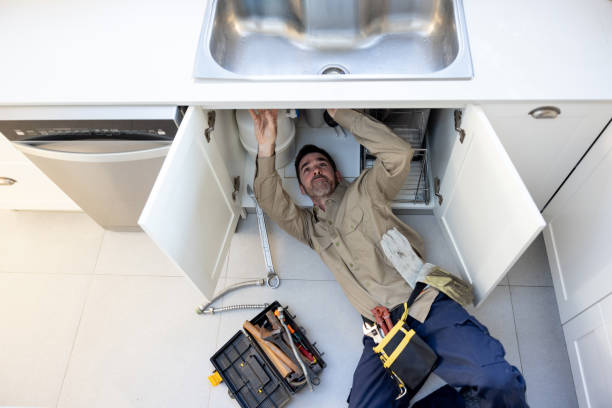 Best Sprinkler Systems  in St Louis, MI