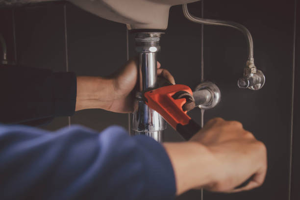 Best Shower Repair Services  in St Louis, MI